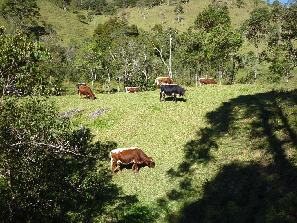 Apartamento Férias Fazenda Usina 1 Bocaina de Minas Esterno foto