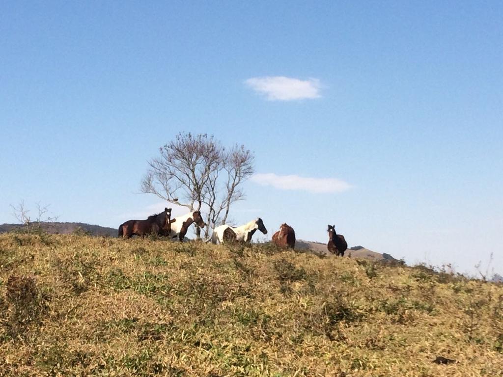 Apartamento Férias Fazenda Usina 1 Bocaina de Minas Esterno foto